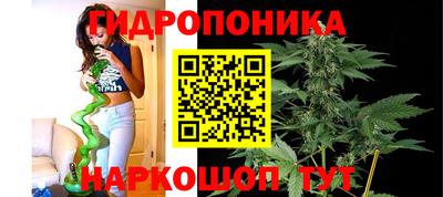 2c-b Краснознаменск