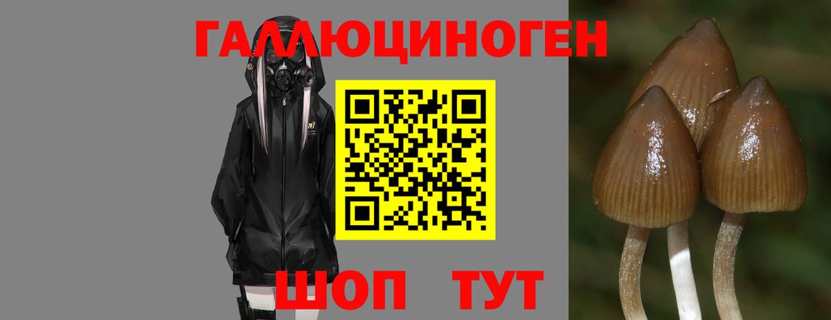 Псилоцибиновые грибы мухоморы Комсомольск-на-Амуре